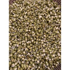 SPRAY FREE MUNG BEANS - GROWN IN KATIKATI - 200 Grams